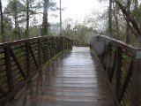 Terry Hershey Park 15200 Memorial Drive 77079.jpg (10).jpg